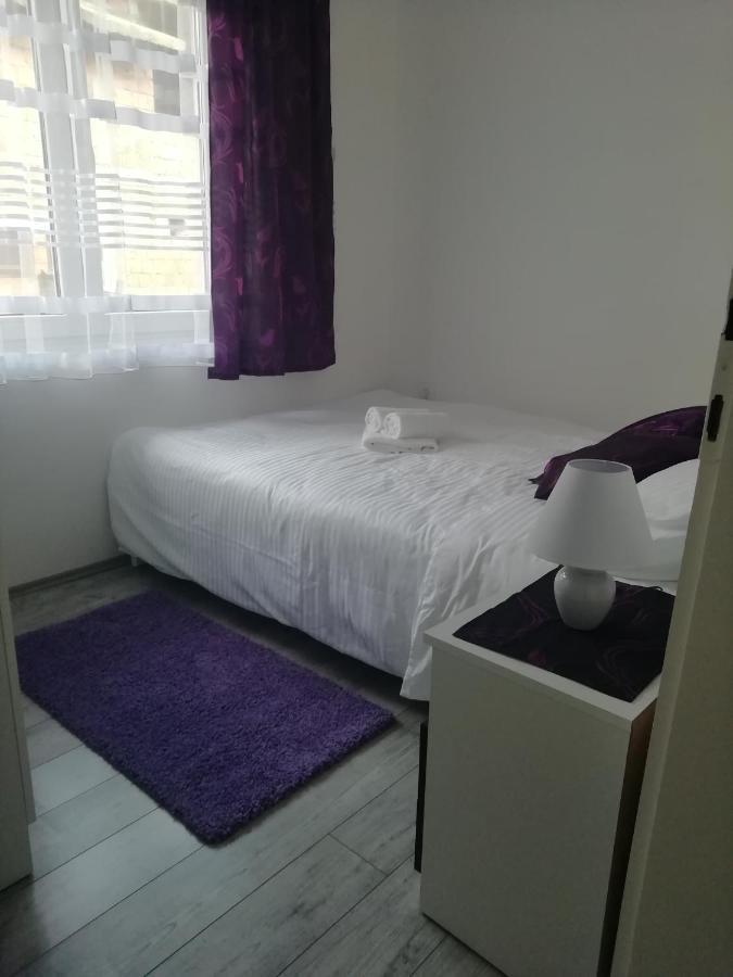 Fenix Apartment & Rooms Vinci Kültér fotó