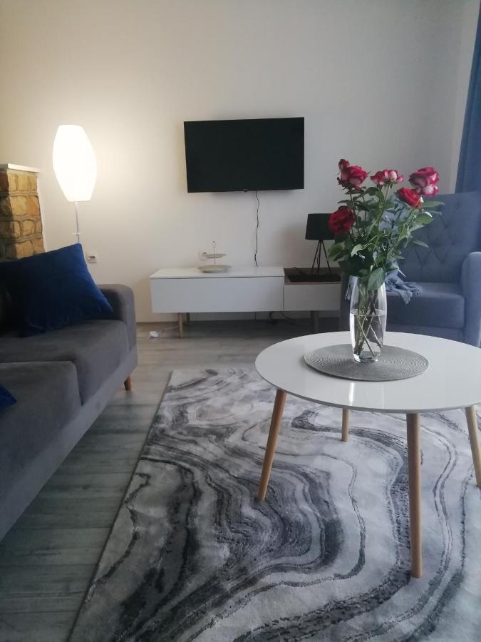 Fenix Apartment & Rooms Vinci Kültér fotó
