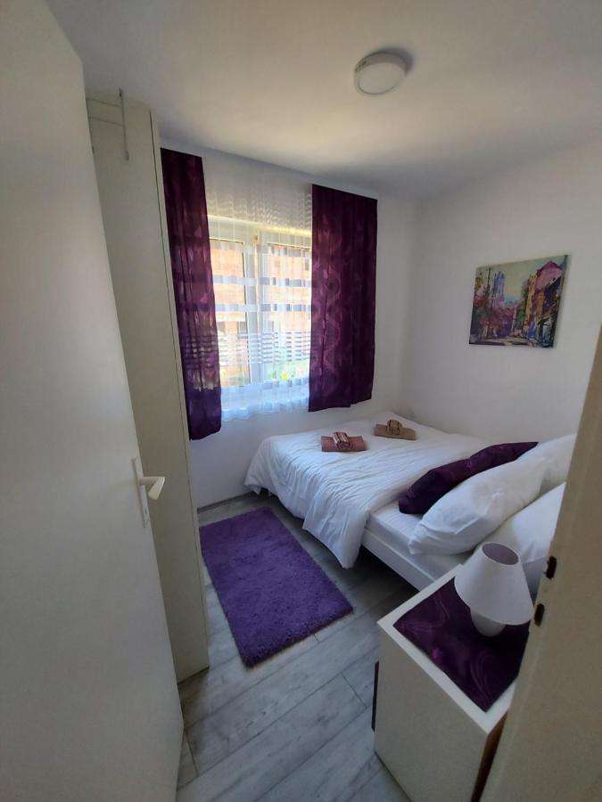 Fenix Apartment & Rooms Vinci Kültér fotó