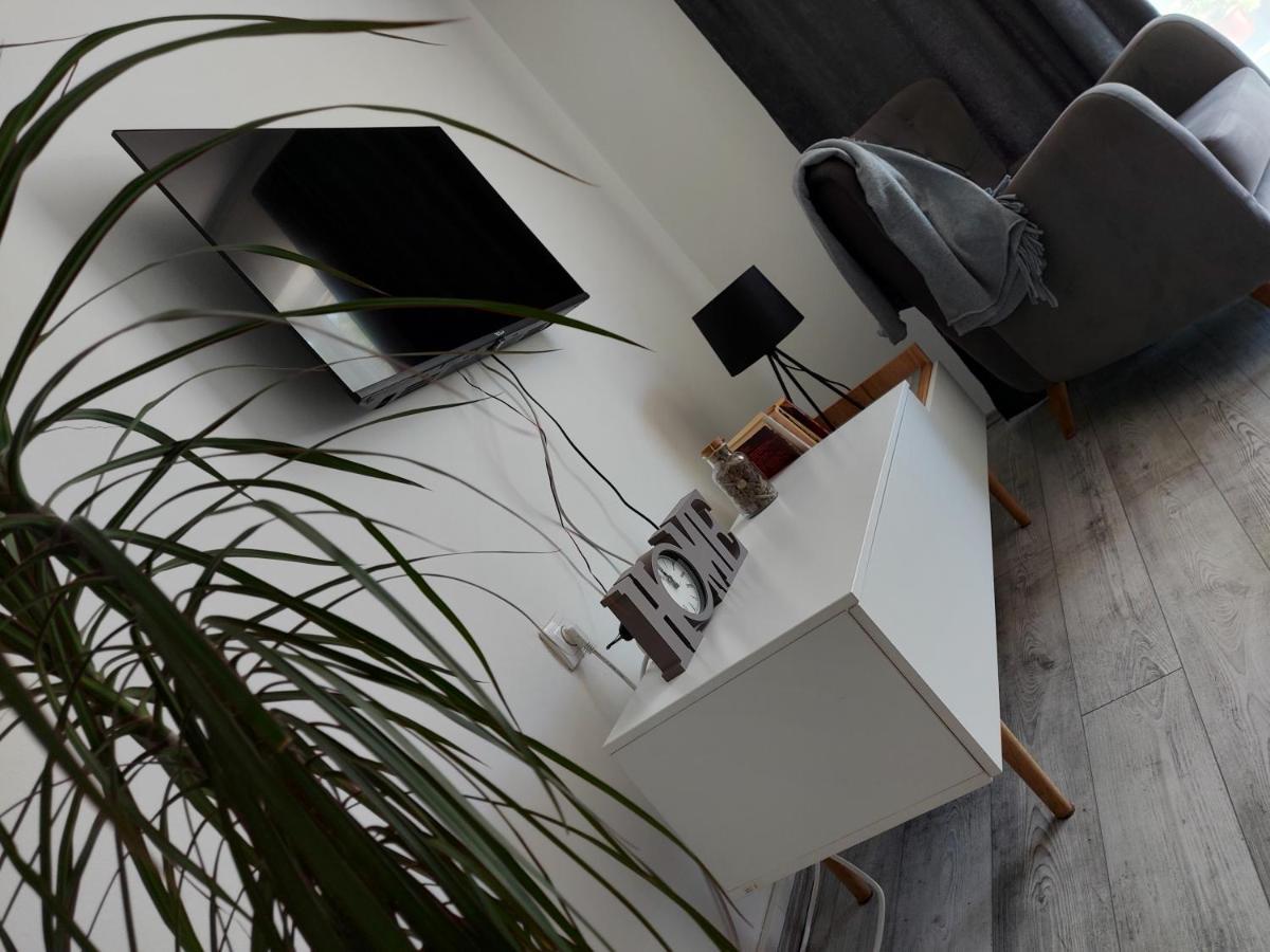 Fenix Apartment & Rooms Vinci Kültér fotó