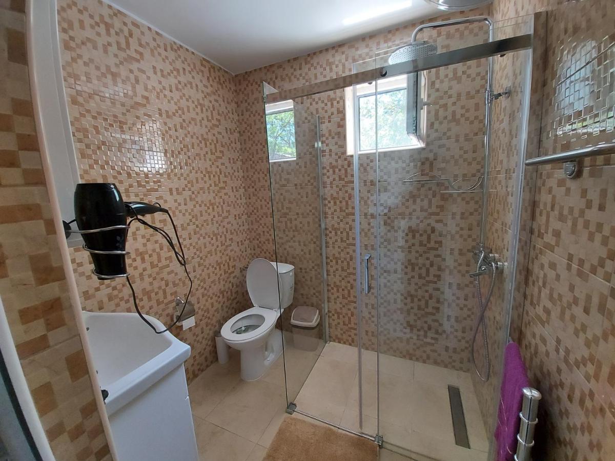 Fenix Apartment & Rooms Vinci Kültér fotó