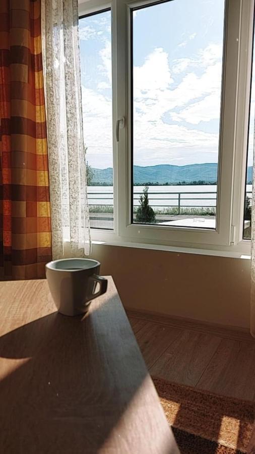Fenix Apartment & Rooms Vinci Kültér fotó